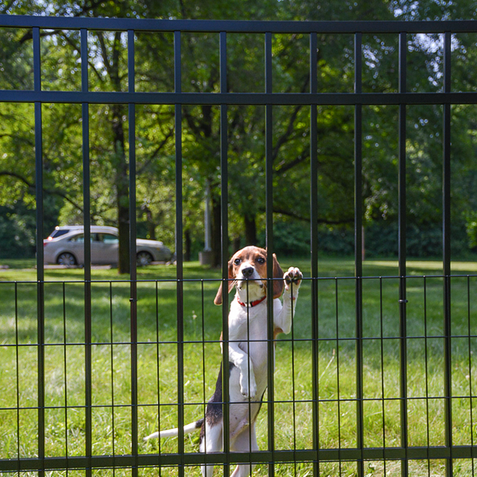 Dog mesh outlet fence